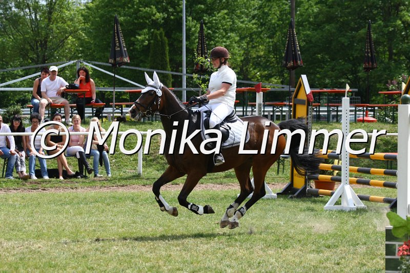 105M0637_Prophet T_Spring_A.JPG